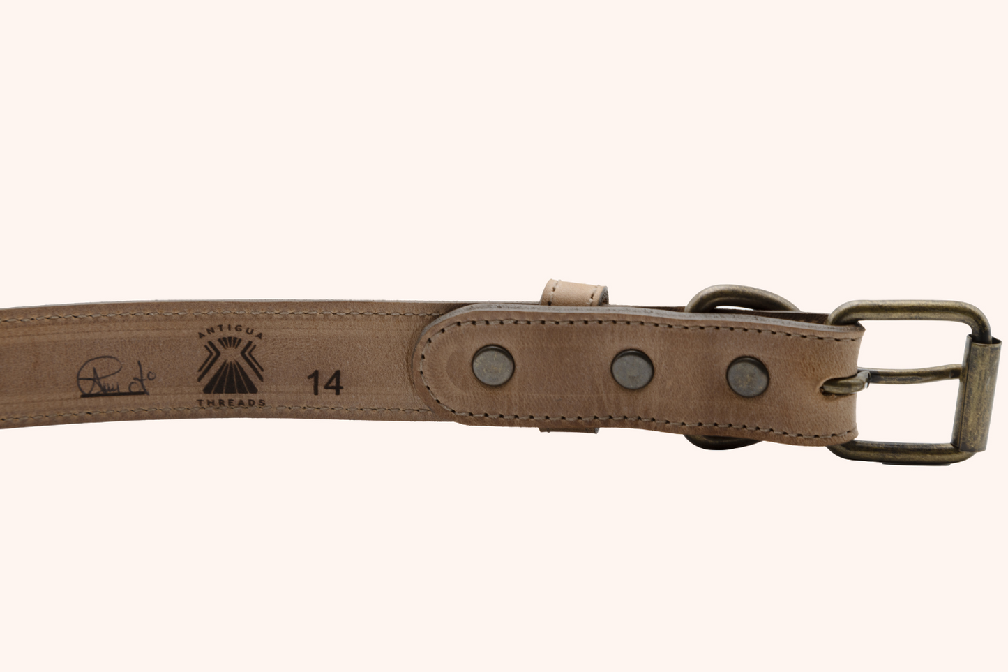 A close-up of a tan leather dog collar, showing the Antigua Threads logo, a signature, and the collar size marked as “14” next to antique brass rivets and buckle.