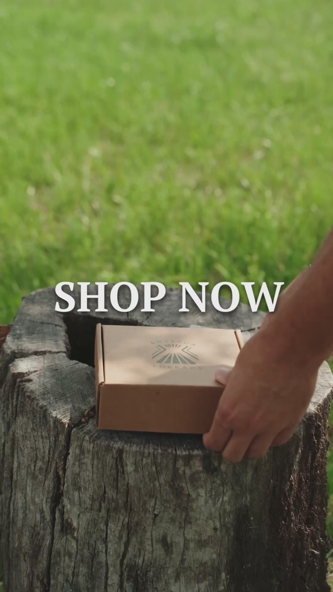 Antigua Threads El Cuero belt unboxing — kraft box with brand logo on a wooden stump